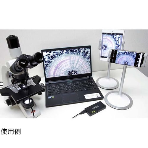 Dino−Eye Edge M DINO