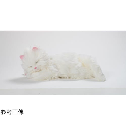 しっぽふりふり あまえんぼう子ねこちゃん