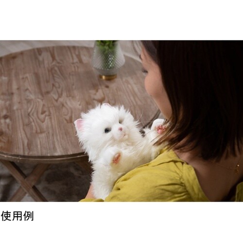 しっぽふりふり あまえんぼう子ねこちゃん