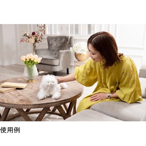 しっぽふりふり あまえんぼう子ねこちゃん