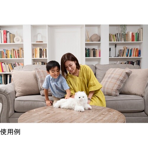 しっぽふりふり あまえんぼう子ねこちゃん