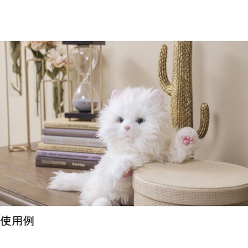 しっぽふりふり あまえんぼう子ねこちゃん