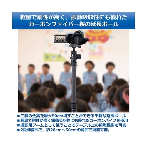 カーボン延長ポール 約500mm CEP