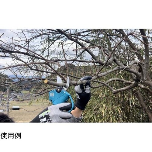 鋏枝切っ太郎 25m EDT−25M