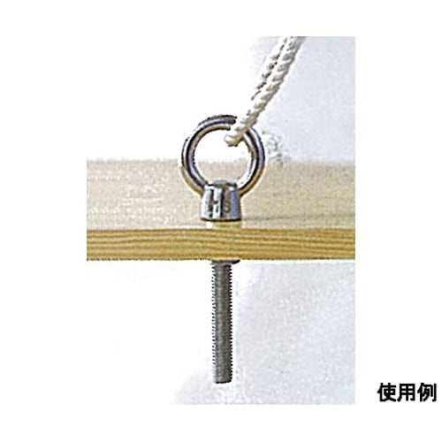 M6x 60mm ロングアイボルト(ステ