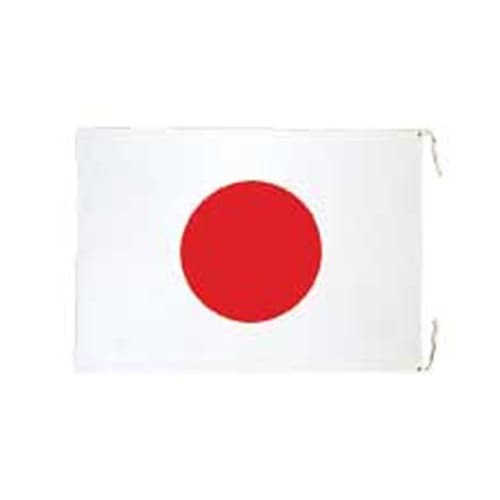 900x 700mm 国旗(綿) EA9