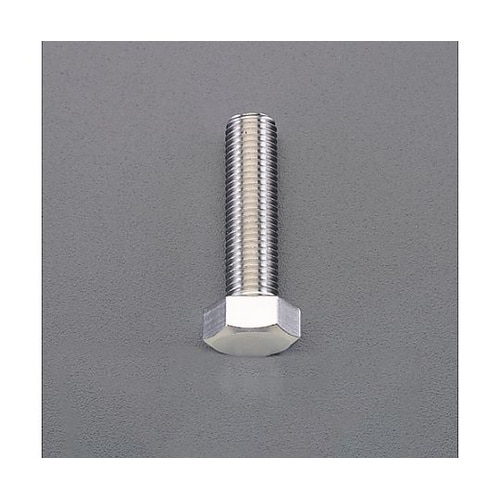 M10x 55mm/P1.25 六角ボル