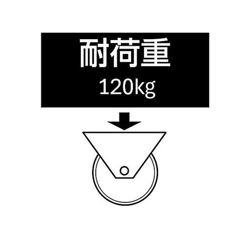 100mm キャスター(固定金具) EA