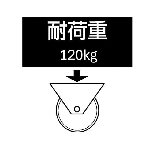 100mm キャスター(自在金具・後輪ブ