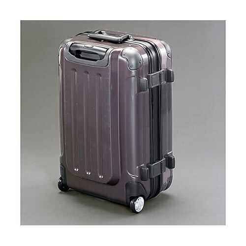 480x300x700(H)mm/100