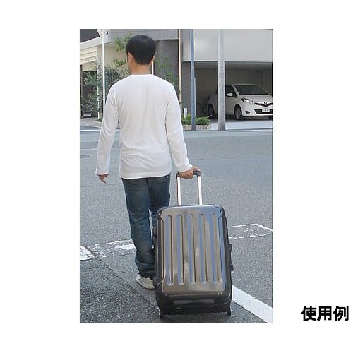 480x300x700(H)mm/100