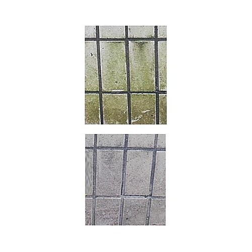 500ml コケ取り剤スプレー(希釈タイ