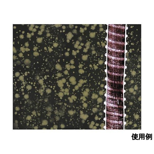 15mmx 3m バスポンプ用ホース(抗