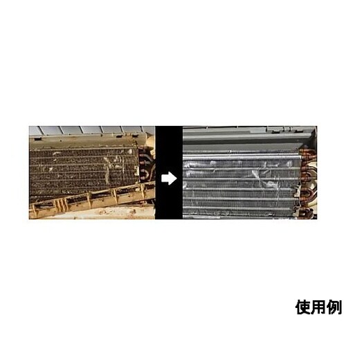 1000g 洗浄用合成洗剤(アブユトリ)