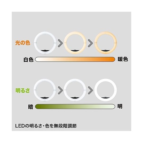 LED照明灯 (スタンド付/WEBカメラ