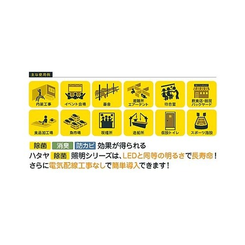 AC100V/11W 照明灯/電球型蛍光