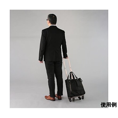 300×200×350(H)mm/17L