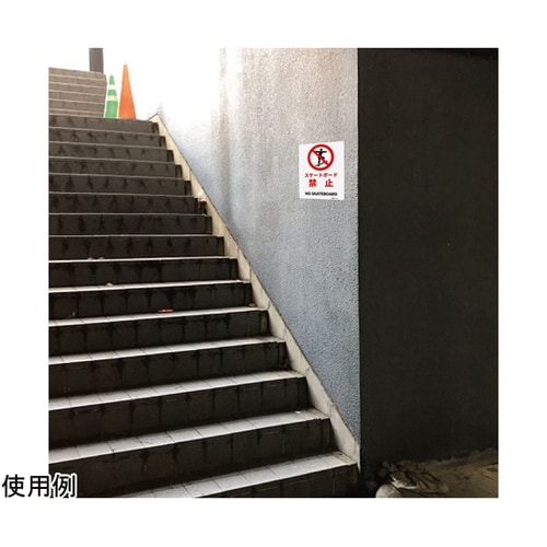 一般表示板 スケートボード禁止 250×