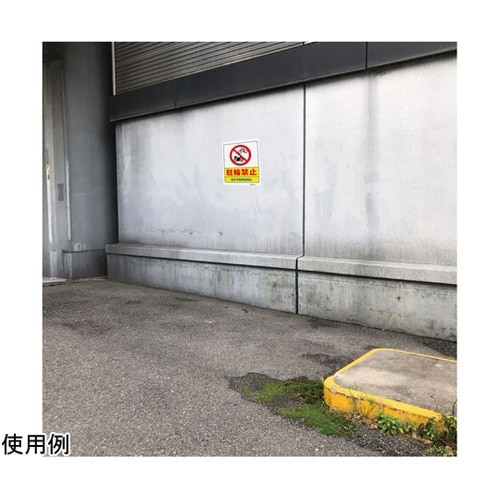 一般表示板 駐輪禁止 250×315mm