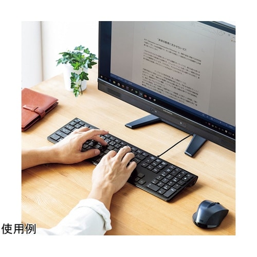 USBスリムキーボード SKB−SL33