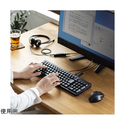 USBハブ付コンパクトキーボード SKB