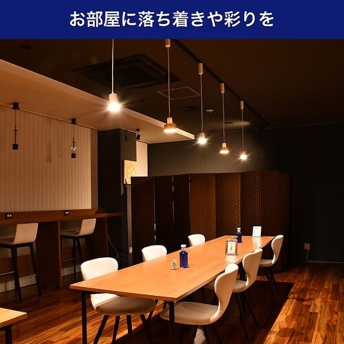 LRS−PW01D(IV) バー用ライト