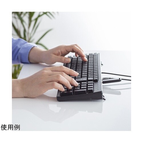 USBハブ付コンパクトキーボード SKB