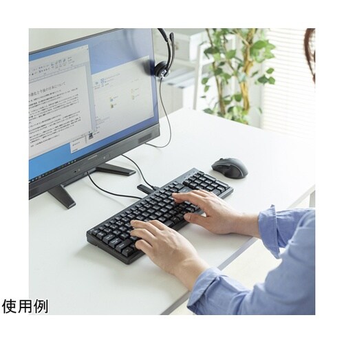 USBハブ付コンパクトキーボード SKB