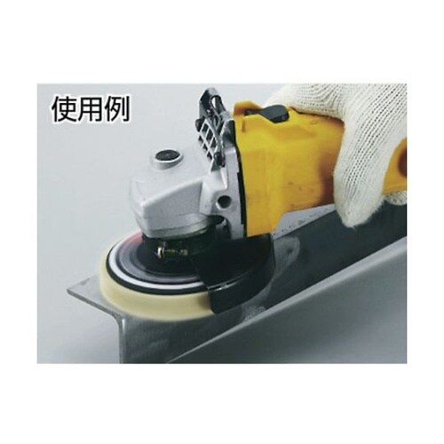 TSD100 サイザルディスク 5個