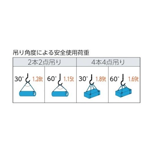 TWAL9S1ワイヤーロープスリング