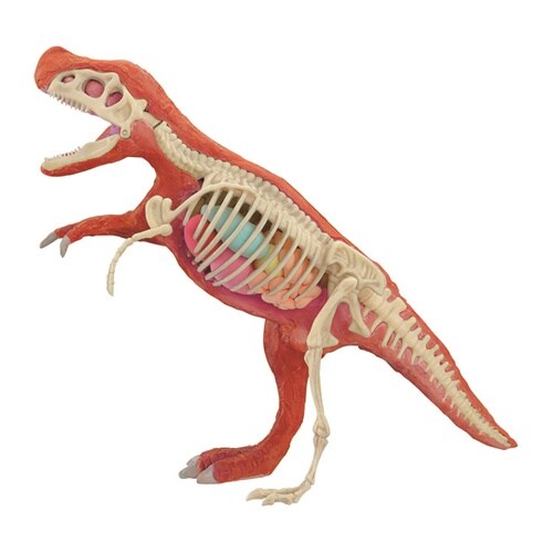 化石発掘復元キット ティラノサウルス 5