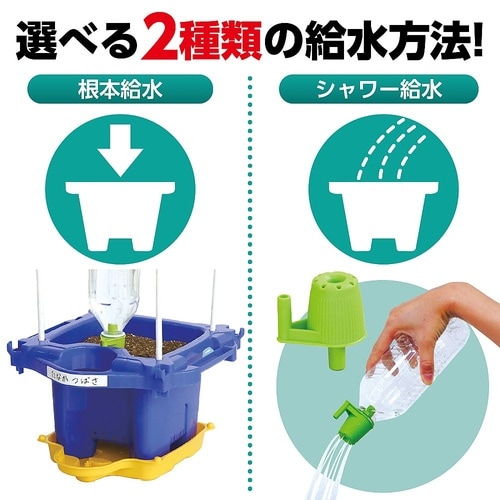 あさがお栽培セット 93153