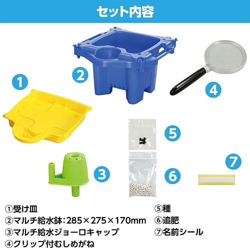 あさがお栽培セット 93153