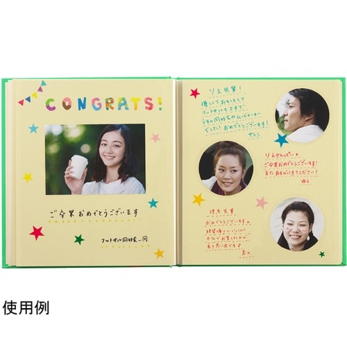 ライトフリーアルバム フレーム M グリ