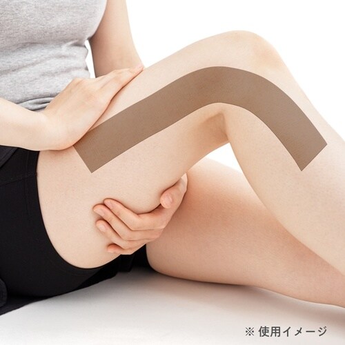 筋肉サポート LN−D50 6巻入