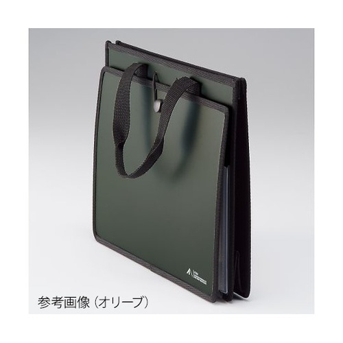 ALTNA ツールバッグ(P.P.) ネ