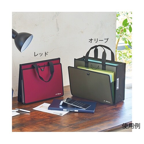 ALTNA ツールバッグ(P.P.) ネ