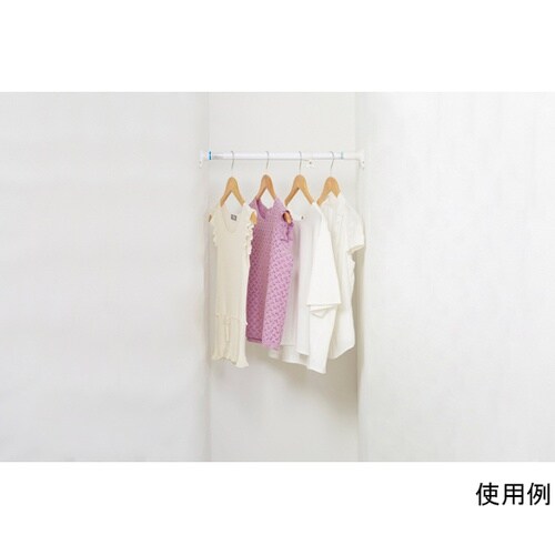 RTW−50 パワフルポール 白 特小