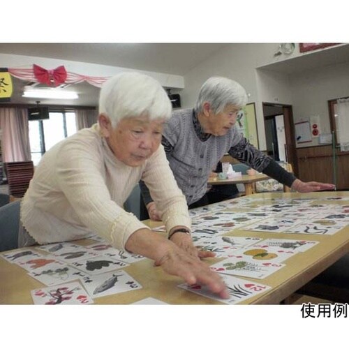 新日本トランプ SF028