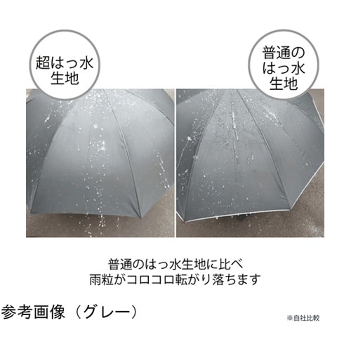 HAU 紳士超撥水無地長傘 65cm ブ