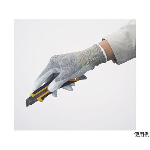 544−10P ケミスターパームFS M