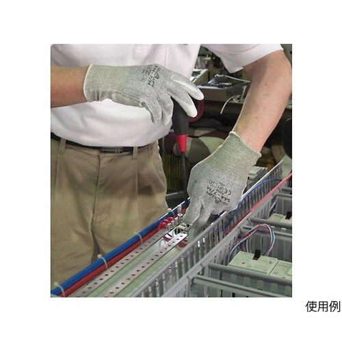 544−10P ケミスターパームFS M