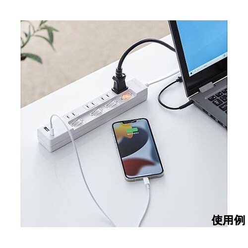 AC125V/14A タップ(USB充電