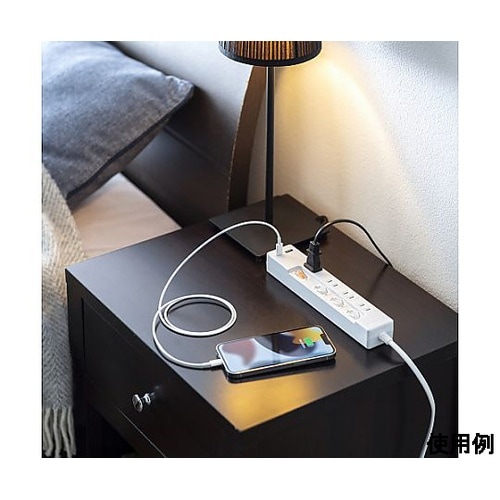 AC125V/14A タップ(USB充電