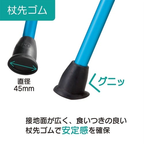 104751 ヒューゴステッキ