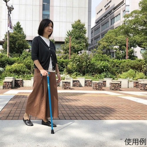 104751 ヒューゴステッキ