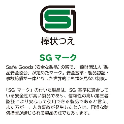 104752 ヒューゴステッキ