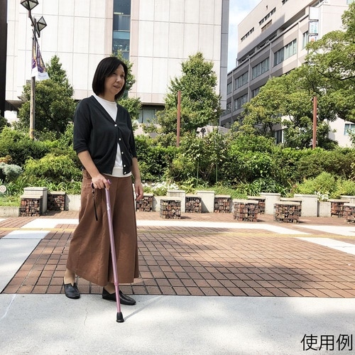 104752 ヒューゴステッキ