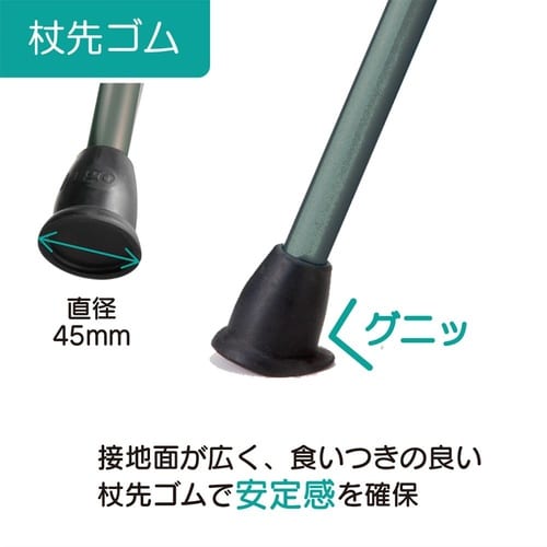 104754 ヒューゴステッキ