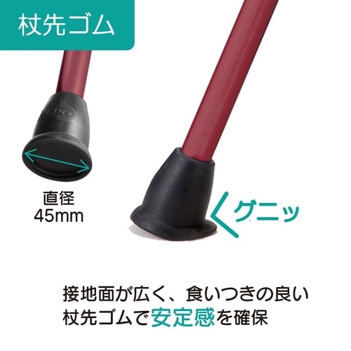 104756 ヒューゴステッキ